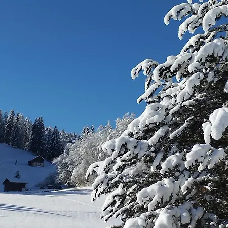 Magnifique Cosy * Chateau-d'Oex